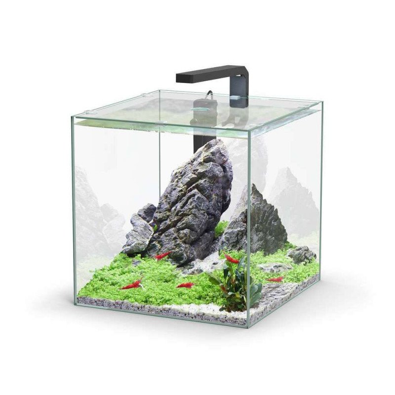 Aquarium équipé : filtration, capacité 33L