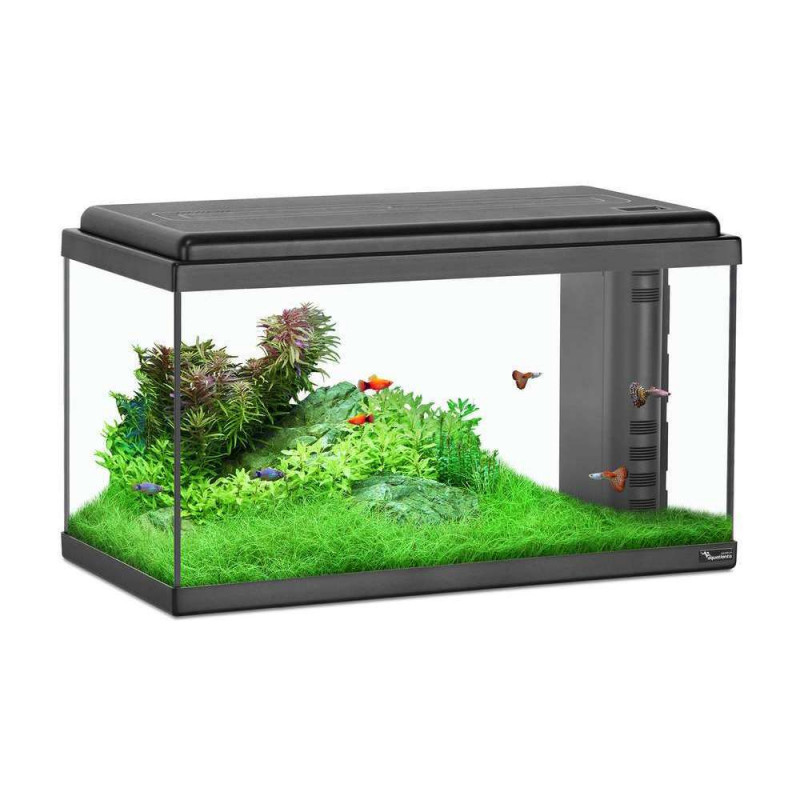 Aquarium 60 Led Noir équipé