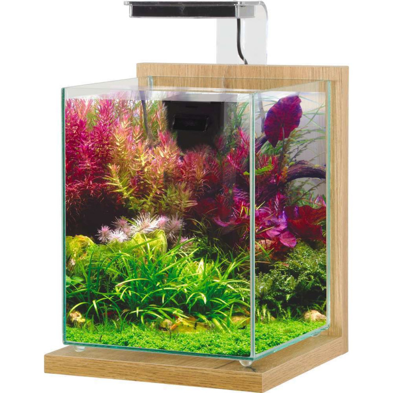 Aquarium équipé Jalaya 2 chêne clair - 10 litres
