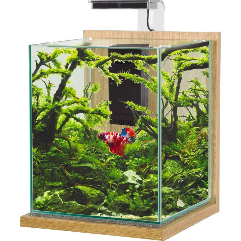 Aquarium équipé Jalaya XL chêne clair - 18,7 litre
