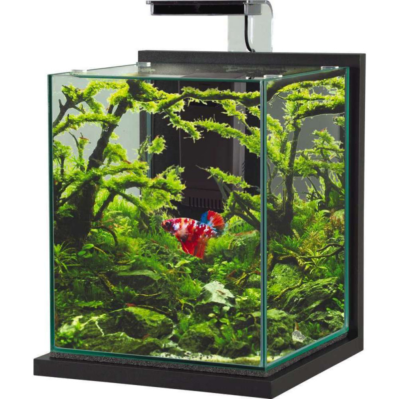Aquarium équipé Jalaya XL gris anthracite - 18 lit