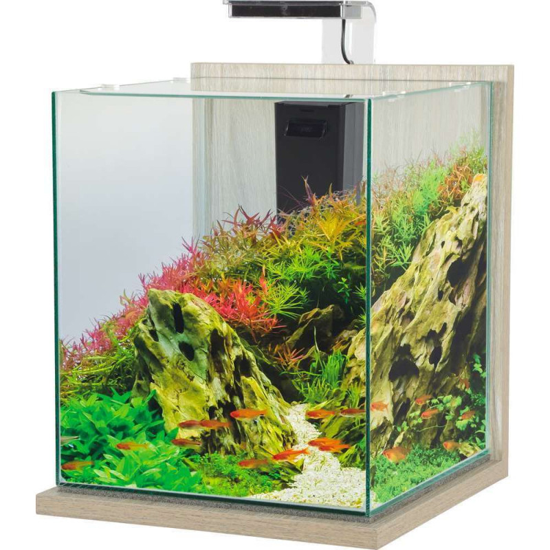 Aquarium Jalaya XXL Zebrano