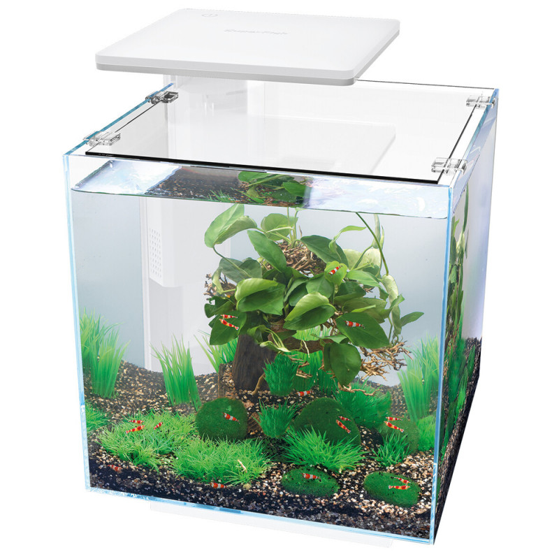 Aquarium Qubiq 30 litres Pro blanc L. 37. 0 P. 37.