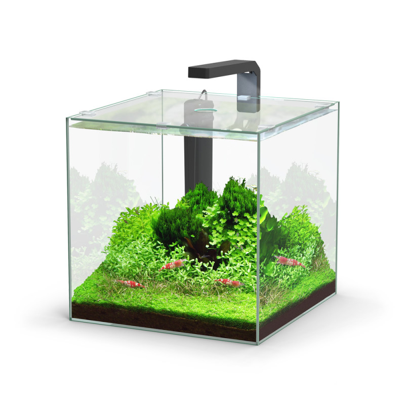 Aquarium Kubus 22L Led équipé
