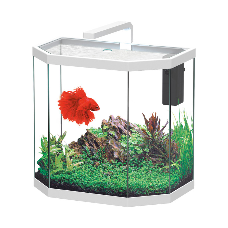 Aquarium OSMOS LED équipé blanc 38 litres - L. 40,