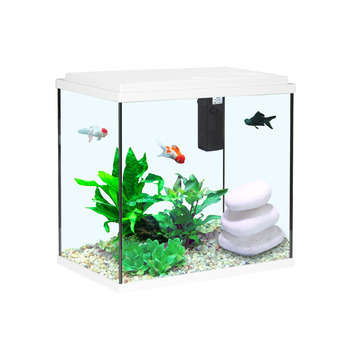 Aquarium Aqua Sarawak - 25L