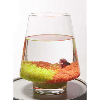 Aquarium Kofi poisson d'eau froide - 4L