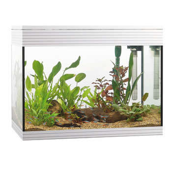 Aquarium Askoll Pure LED - 81L