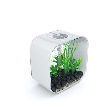 Aquarium Biorb LIFE - 30L