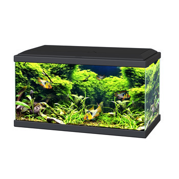 Aquarium équipé noir - 60 litres
