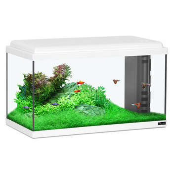 Aquarium en verre, blanc : L. 60 x P. 30 x H. 34 c