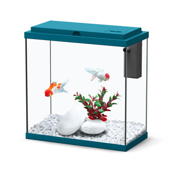 Aquarium Sarawak poisson d'eau douce - 10L