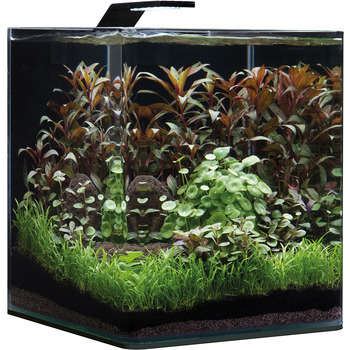 Aquarium Nano Cube Basic - 30L