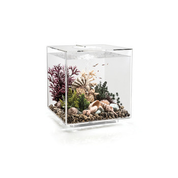 Aquarium équipé Cube transparent - 30 litres