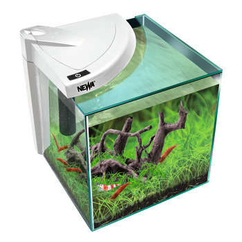 Aquarium Newa More poisson d'eau douce - 20L