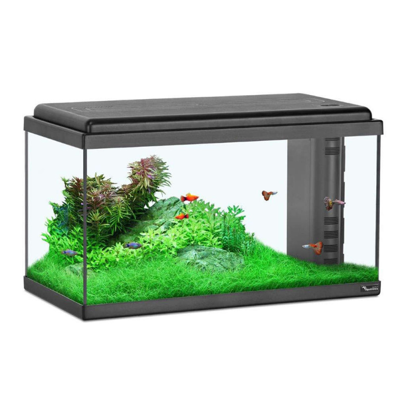 Aquarium Bio Equipé JBL - 50L