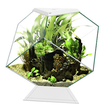 Aquarium Nexus Diamond : blanc, 14L