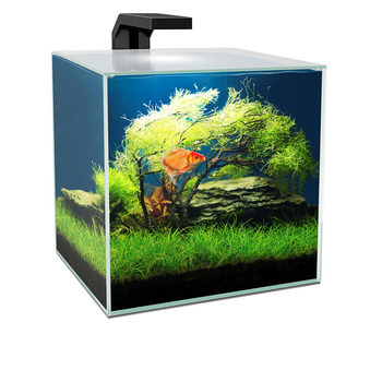 Aquarium cube LED : 15L