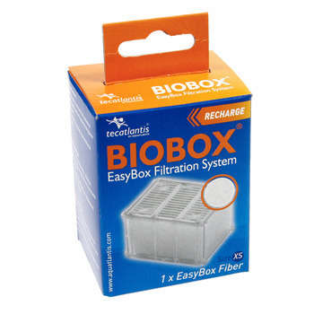 Easybox fibre xs : plastique ouate blanc l. 5,5 x