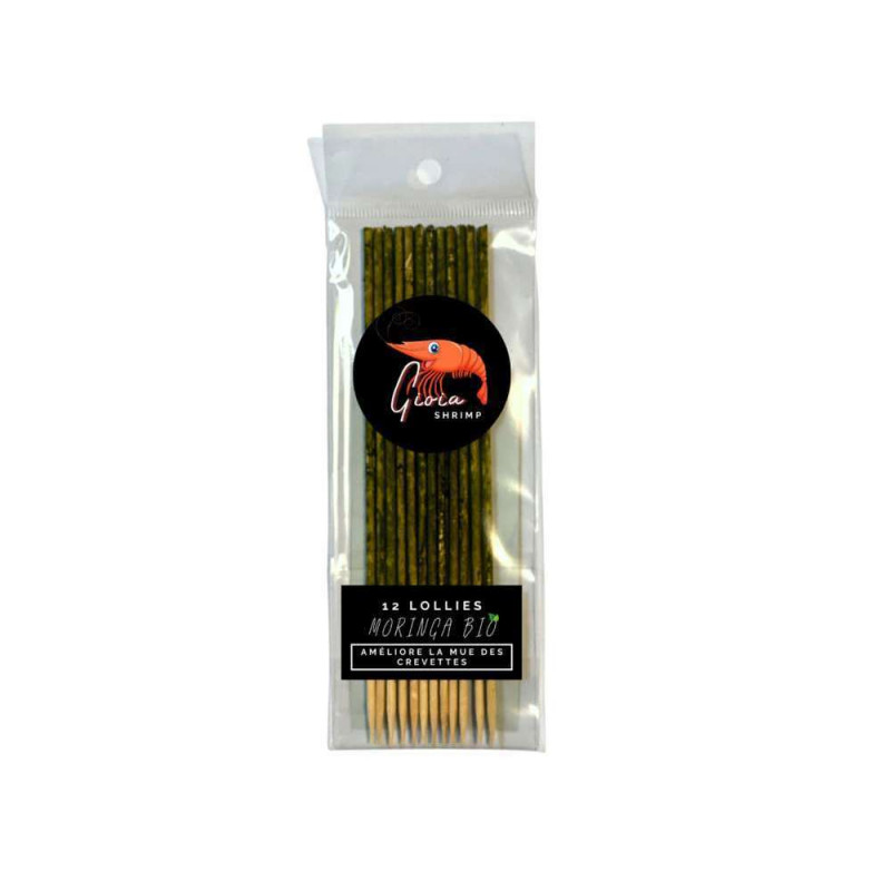12 Lollies Moringa Bio pour crevettes d'aquarium
