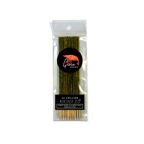 12 Lollies Moringa Bio pour crevettes d'aquarium