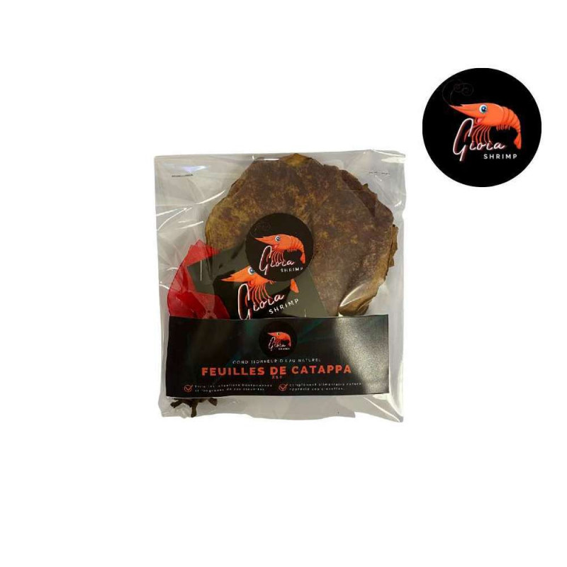 Feuilles de catappa pour les crevettes d'aquarium