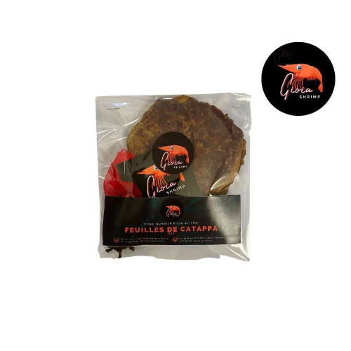 Feuilles de catappa pour les crevettes d'aquarium