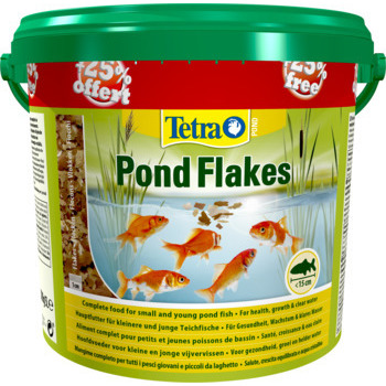 Alimentation poissons bassin  4L