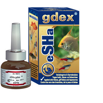 Traitement poissons Esha GDEX contre les vers