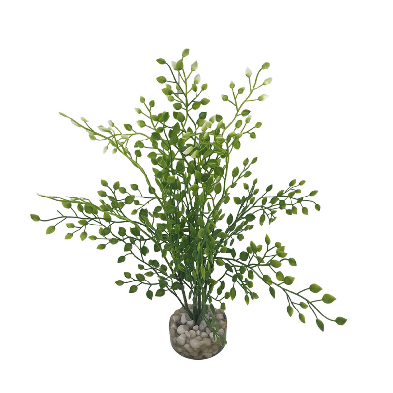 Plante artificielle pour aquarium, arbre lentille