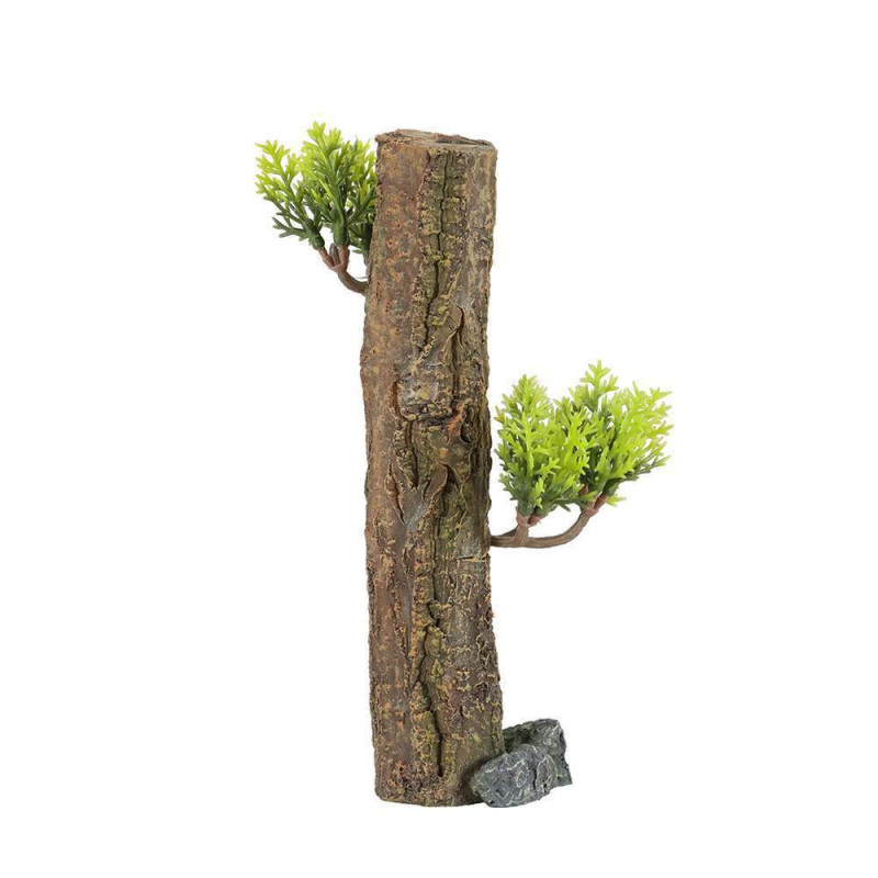 Décoration Aquarium Forest Xs
