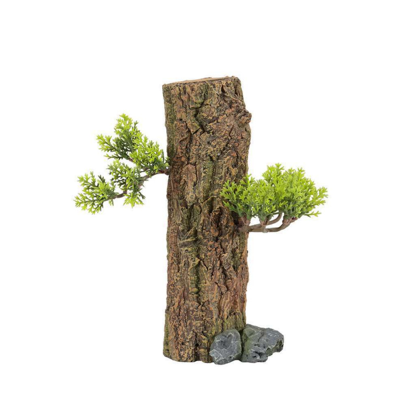 Décoration Aquarium Forest S