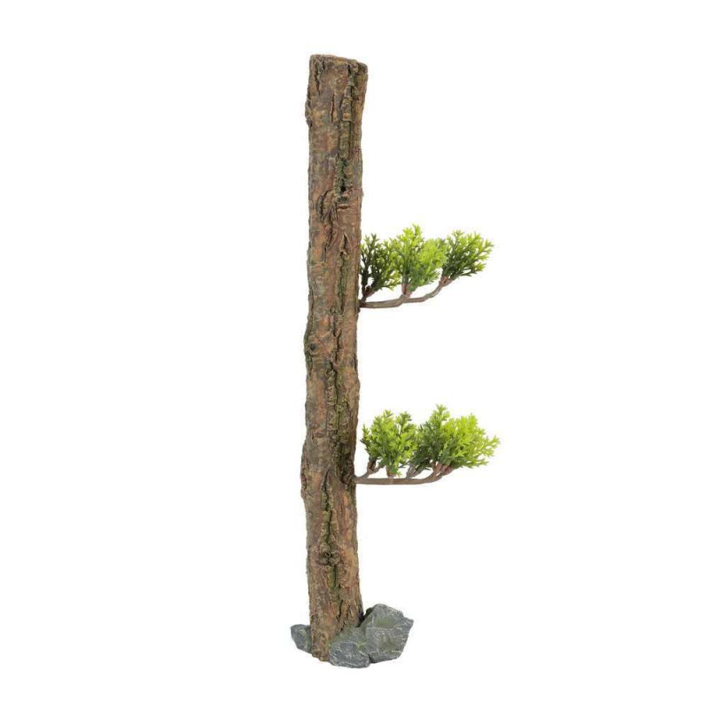 Décoration Aquarium Forest M