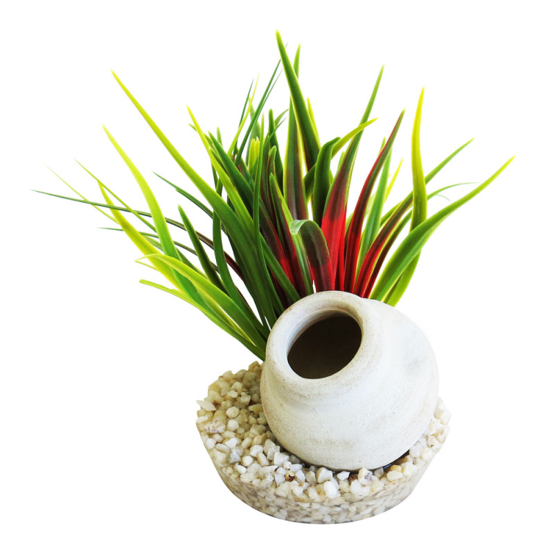 Décor aquarium Tyrol jarre gauloise plantes