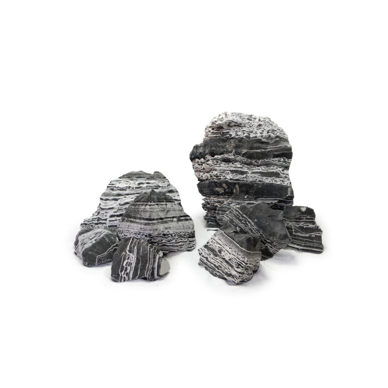Pierre Black Multiwhite pour réptiles S