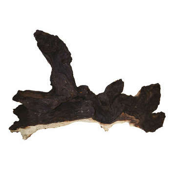 Racine décorative Mopani : grand modèle