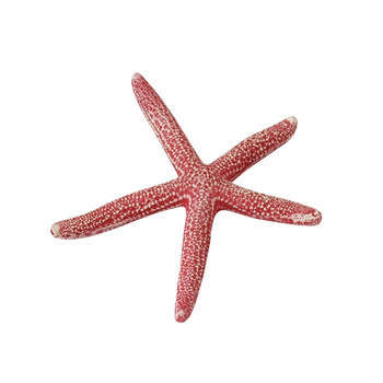 Décoration d'aquarium, grande étoile de mer rouge