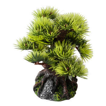 Décoration d'aquarium, mini Bonsaï Della : L5,5xl7