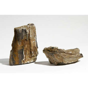 Bois fossilisé, pour aquarium: brun-cuivré