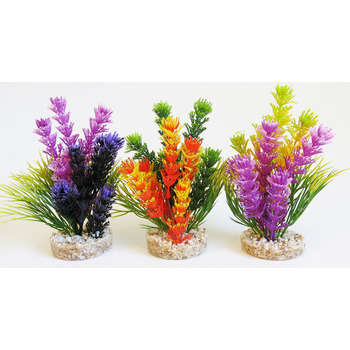 Décoration d'aquarium: Magic fiesta colours H. 16