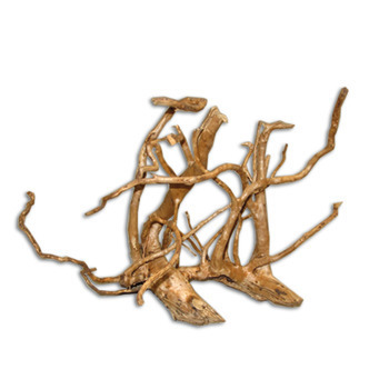 Décor aquarium/terrarium: Racine araignée 40-50 cm