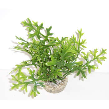 Décor d'aquarium : recif pm 4 coloris assortis