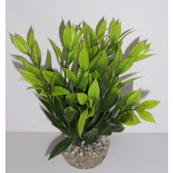 Décor d'aquarium : Dracaena 3 coloris assortis