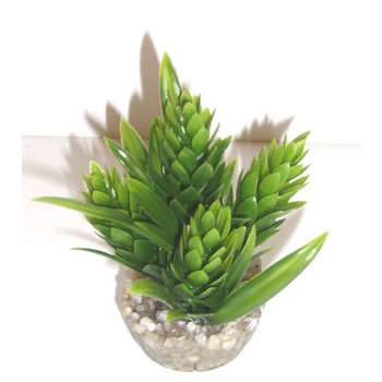 Decor d'aqurium : Plante HOP coloris assortis
