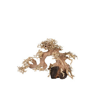 Aquavie Bonsai Nature Pm