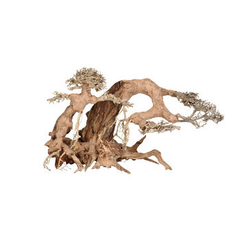 Décor aquarium bonsaï : bois, 21x31xh.26cm