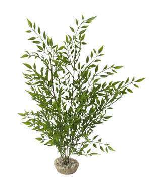 Plante artificielle aquarium bambou 38 cm