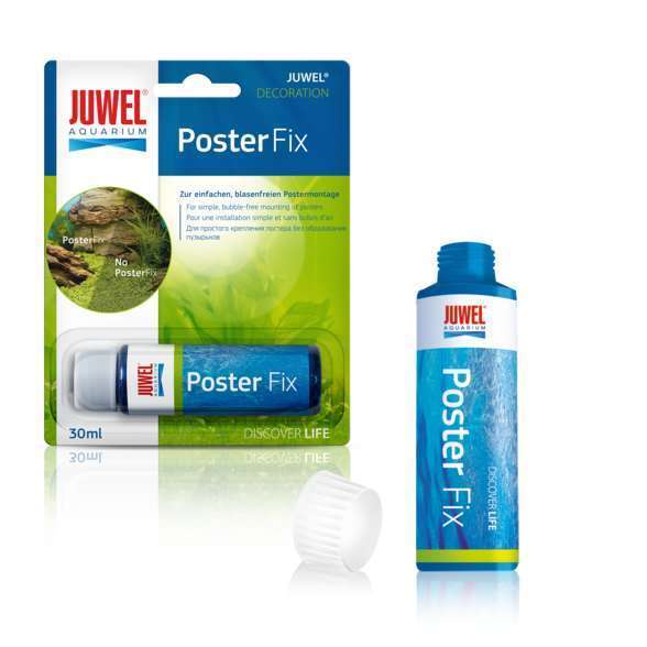Colle Poster Fix pour poster et fond d'aquarium