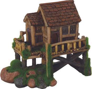Cabane Kipouss avec graines de glossostigma - L. 9