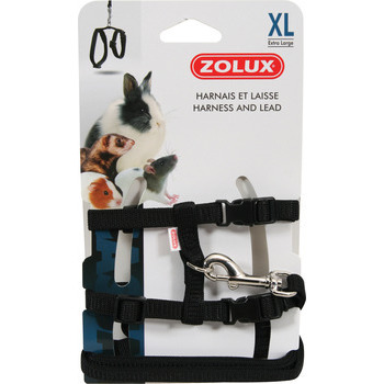 Harnais et Laisse Nacs Xl : Tour de cou 19-31 cm N